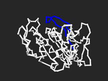 ncd_Molecule